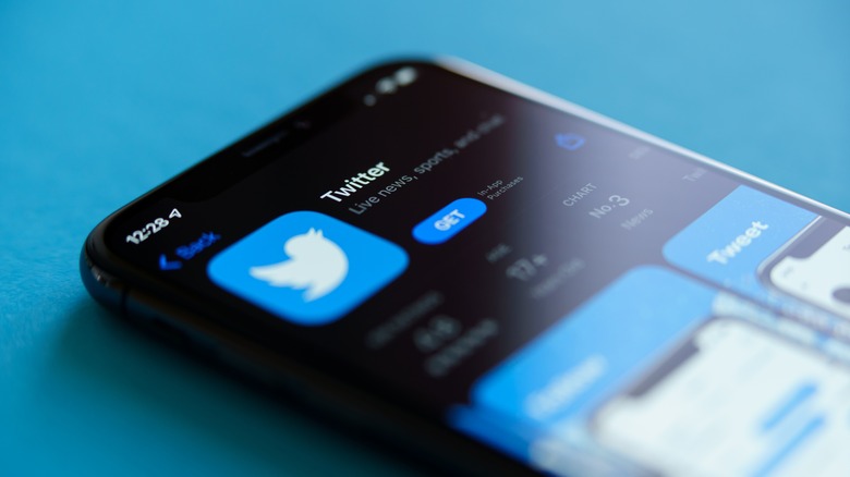 Twitter app logo on a smartphone screen.