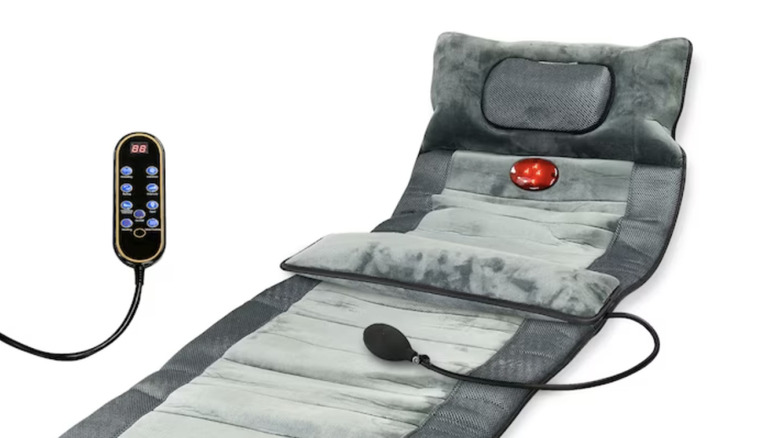 Seat pad and remote control on white background