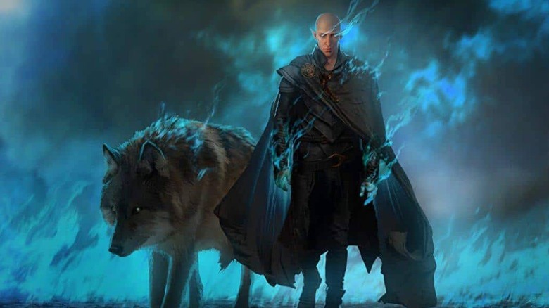 An elf with large wolf in Dragon Age