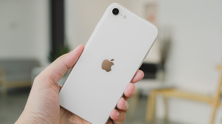 Someone holding iPhone SE