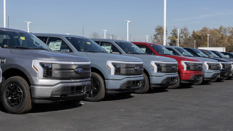 line of F-150 lightning trucks