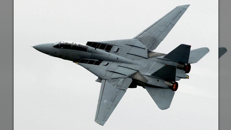 Grumman F-14 Tomcat  flying with wings deployed