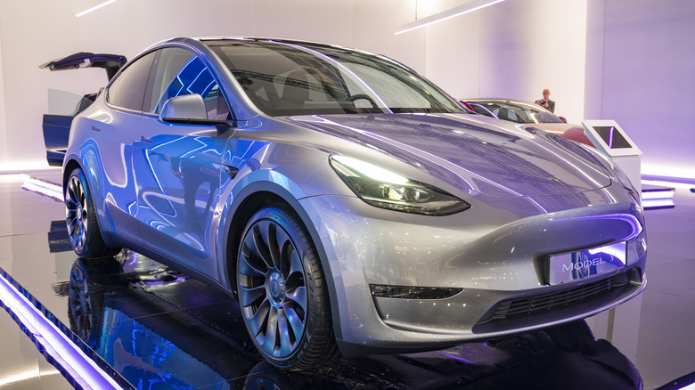 Tesla Model Y showroom display