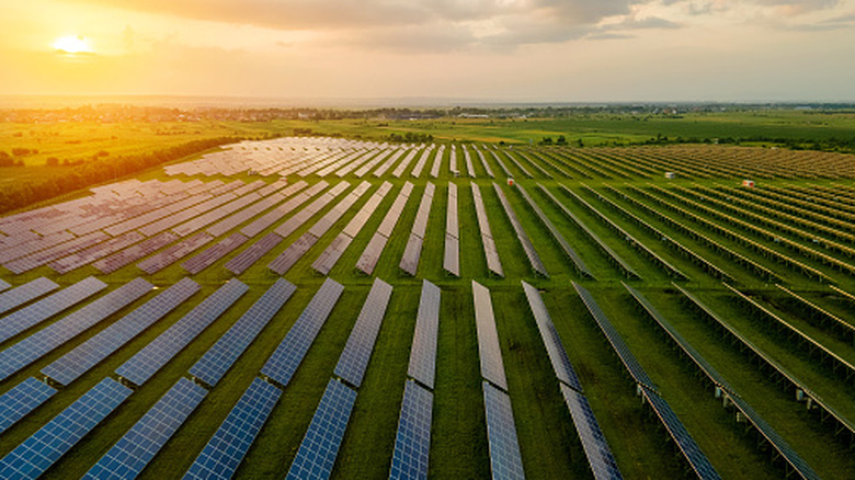 Aerial view of a solar farm at sunset.