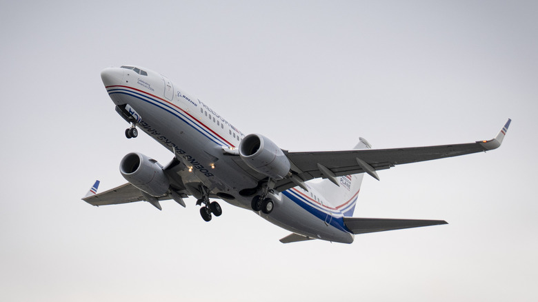 Ground view of Freedom Plane Boeing 737 taking off from DCA in Washington DC.