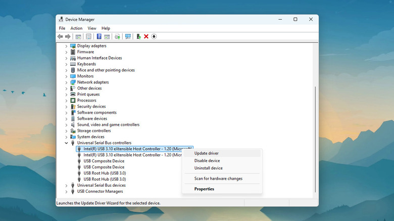 Windows Device Manager showing Update driver option