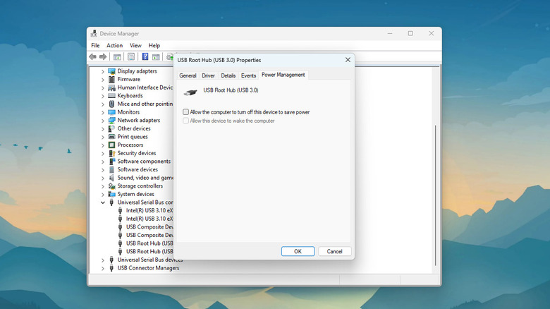 Windows Device Manager showing Power Management tab for USB Root Hub