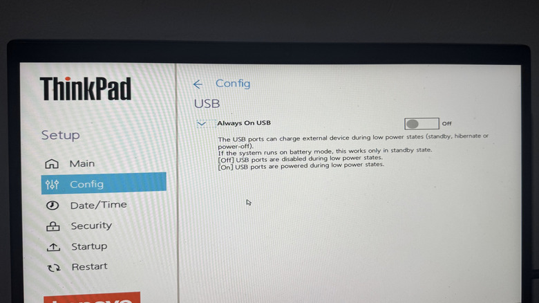 Lenovo Thinkpad BIOS showing USB port setting