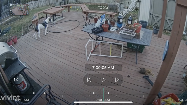 Backyard camera shot