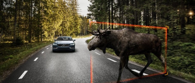 Volvo S90 animal detection