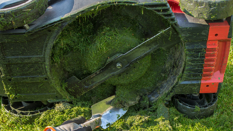 A person cleaning the underside of their lawn mower deck.
