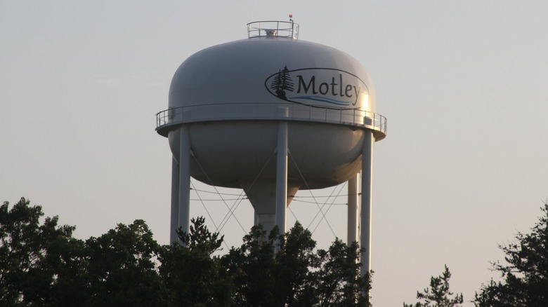 A water tower in Motley, Minnesota, standing above the trees