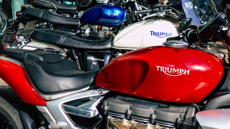parked Triumph motorcycles