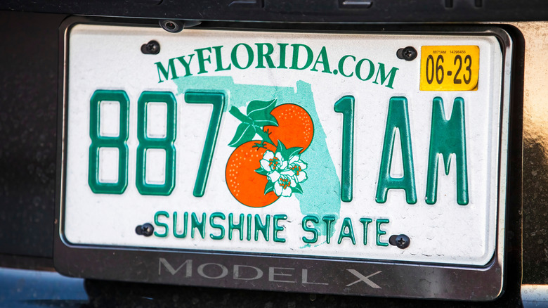 closeup of florida license plate