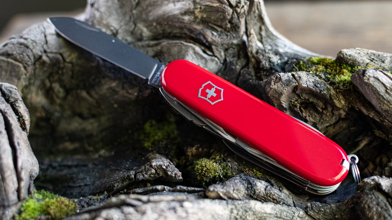 A Victorinox Swiss Army Knife on a log