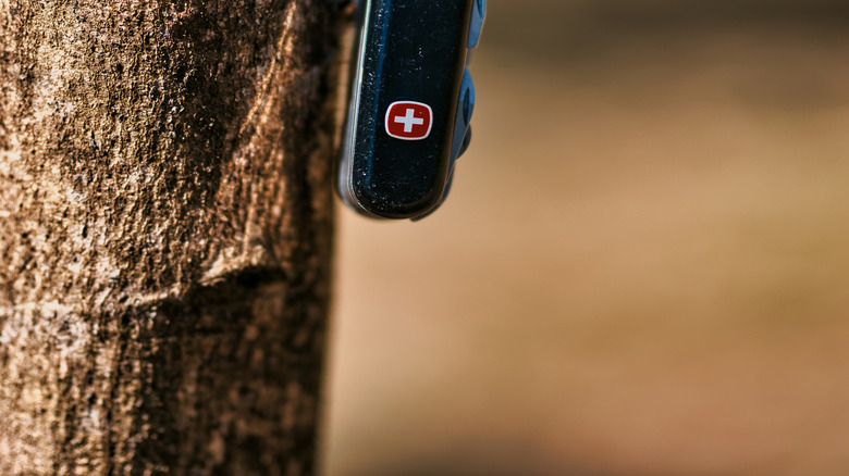 Wenger multitool hanging from tree