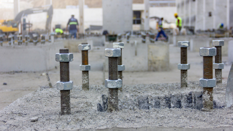 Close-up of rusted anchor bolts standing up straight in concrete