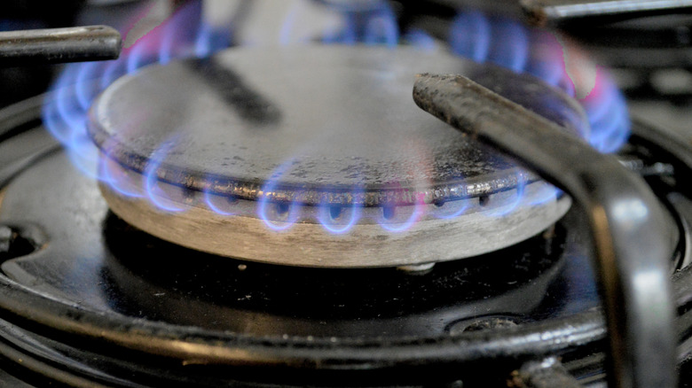 A gas stove burner with blue flames