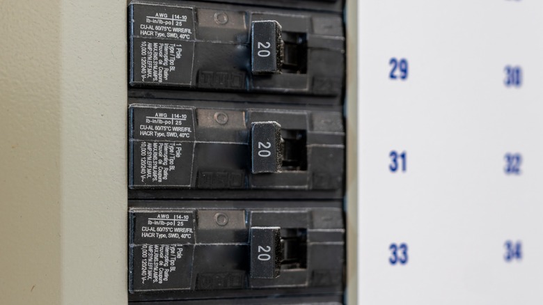 A circuit breaker panel with 20-amp breakers in place.