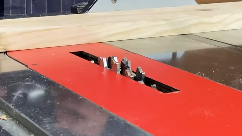 A close up of a dado blade.