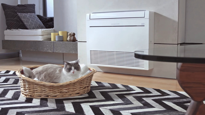 Cat in front of a Mitsubishi Electric RapidHeat floor-mount mini split.