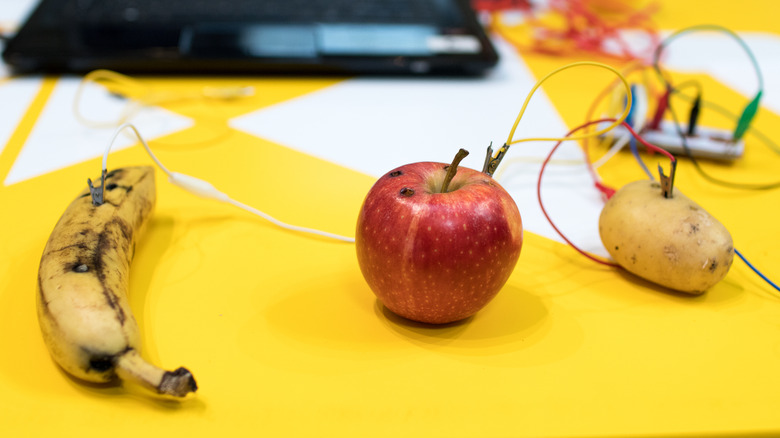 Fruit plugged into Makey Makey