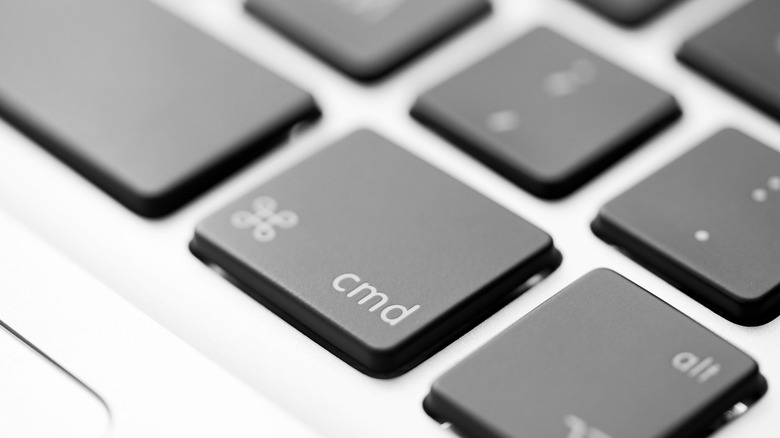 MacBook's command key
