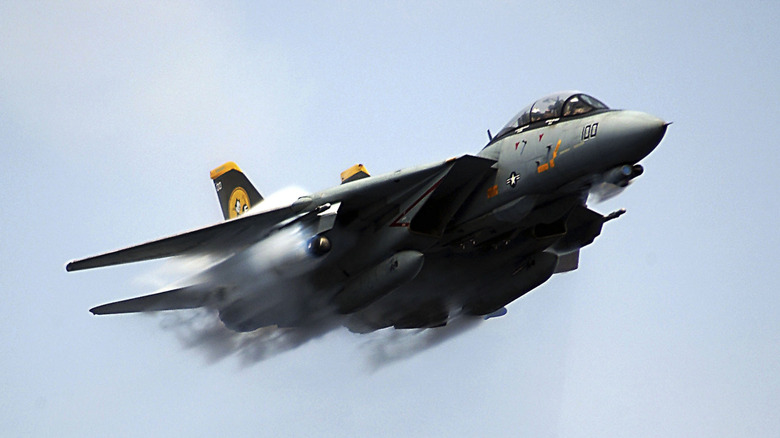 America F-14 Tomcat with its wings tucked in