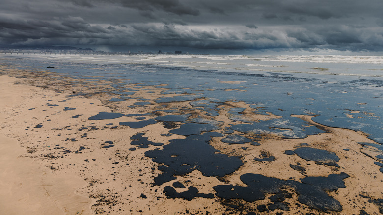 A coastline polluted by spilled oil.