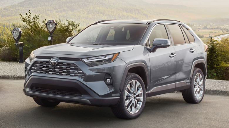 Gray 2025 Toyota RAV4 parked on a road with forested areas in the background