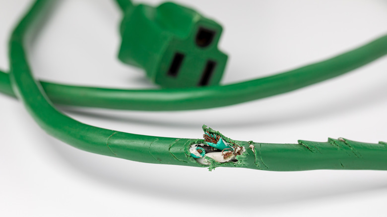 A frayed, damaged green extension cord wire.