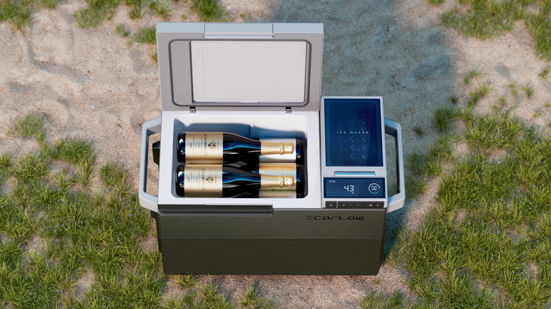 An EcoFlow Glacier smart cooler box showing two champagne bottles inside it.