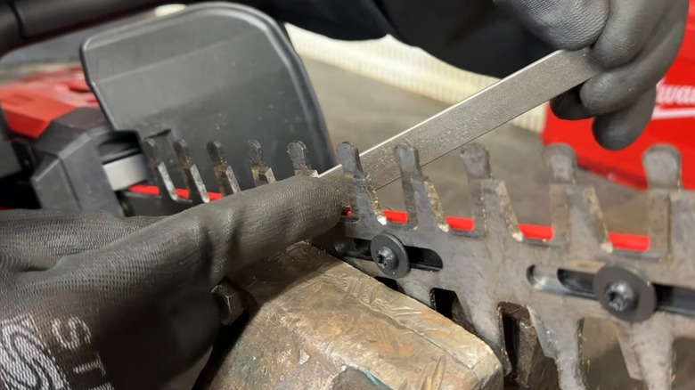 A person sharpening a hedge trimmer blade by hand.