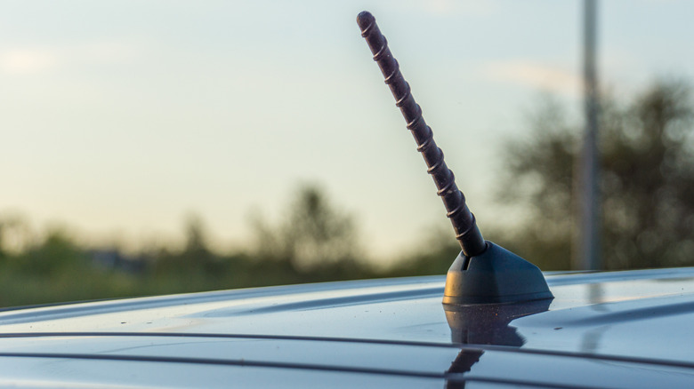 A close-up of a spiral antenna attached to the roof of a car.