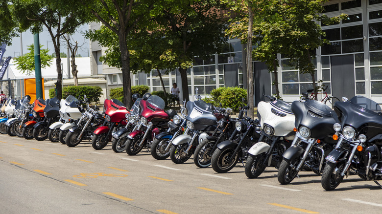 Harley Davidson motorcycles line a city street