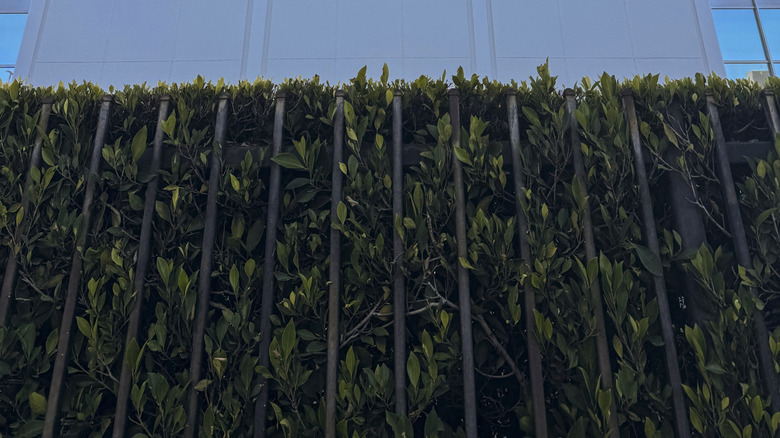 SpaceX Headquarters in California