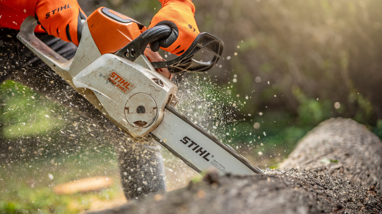 Close-up of a Stihl chainsaw cutting through a large log