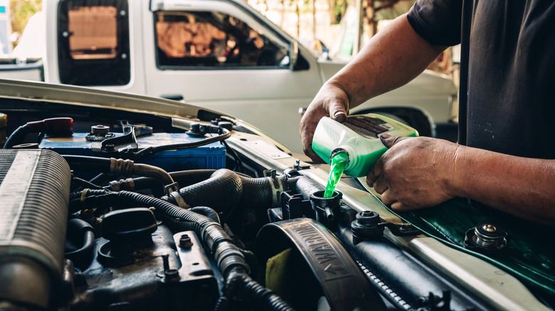 Man putting green coolant in car