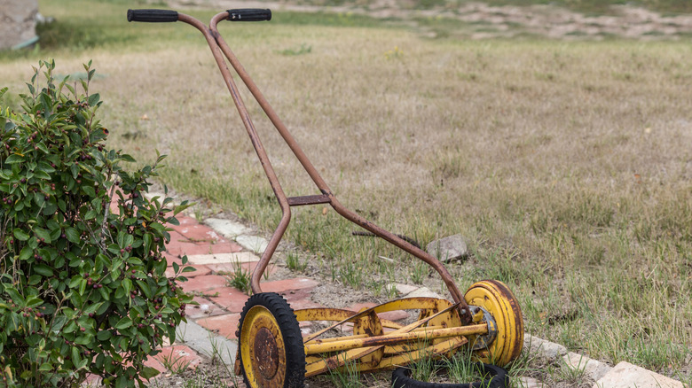 A close up image of a lawn with modern gas powered push mower in the background