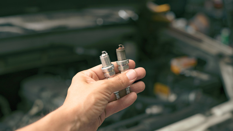 A person holding two spark plugs.