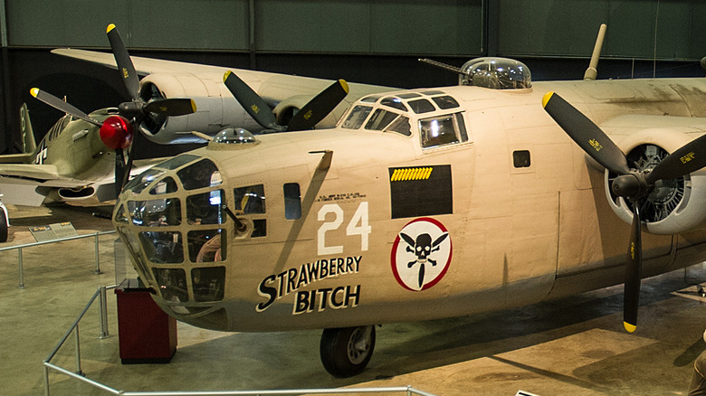 Side view of B-24 Liberator showing bomb markings