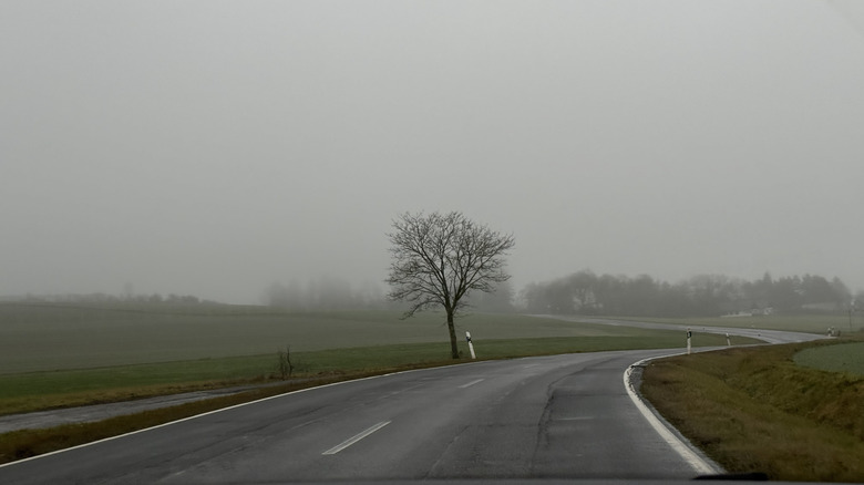 A misty, silent road.