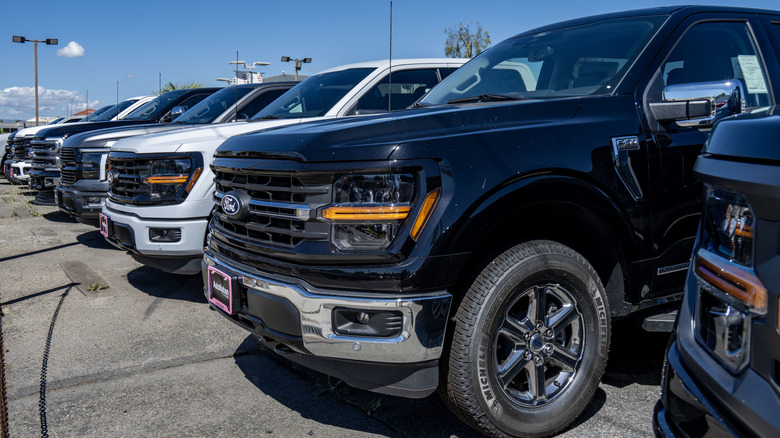 New Ford F-150 trucks lined up at a dealer forecourt.