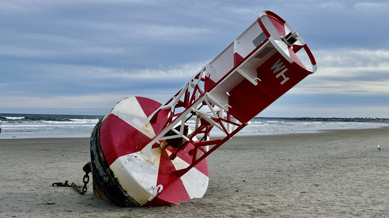 Safe water mark buoy washed up on beach.