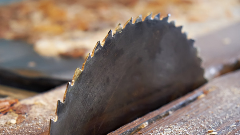 Close up of table saw cutting a board