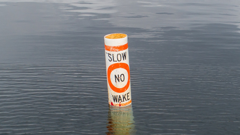 Buoy designating a no wake zone in the water.