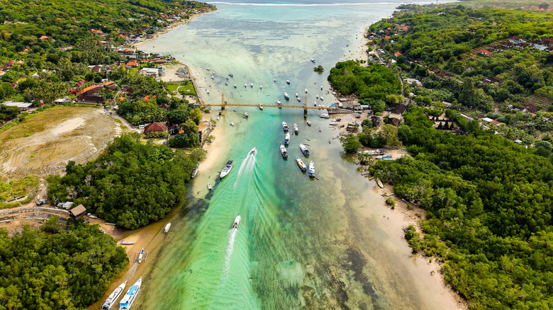 Various boats traveling in a tropical channel