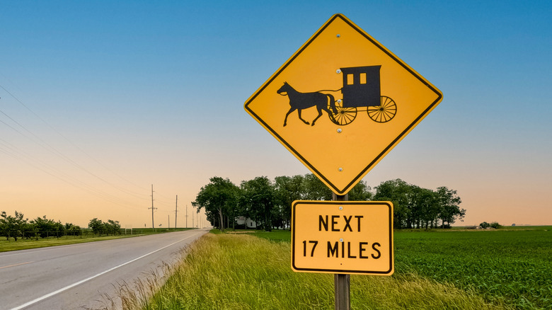 A yellow sign on a rural road warning drivers to share the road with horse-and-buggies