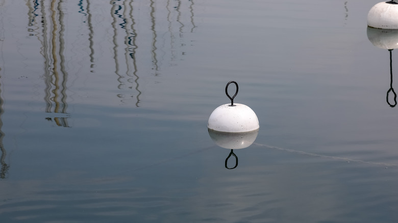 A pair of white buoys shown afloat in the water