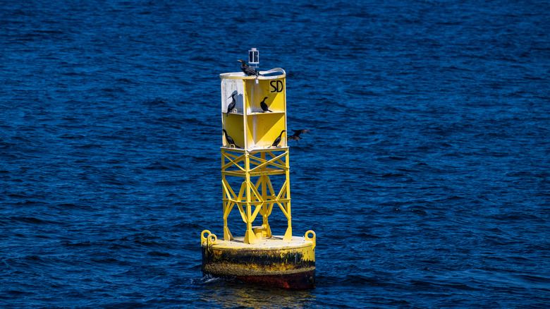 A yellow buoy in water with birds standing on it, high angle photo